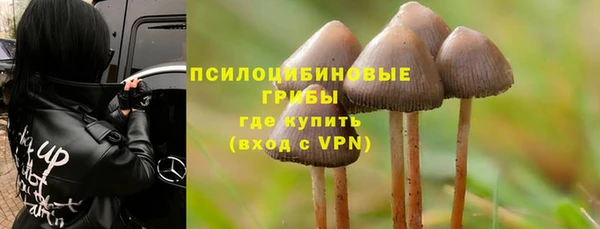соль ск Аркадак