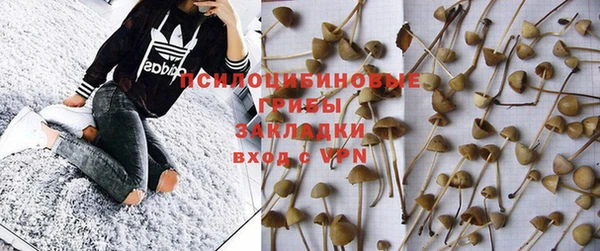 соль ск Аркадак