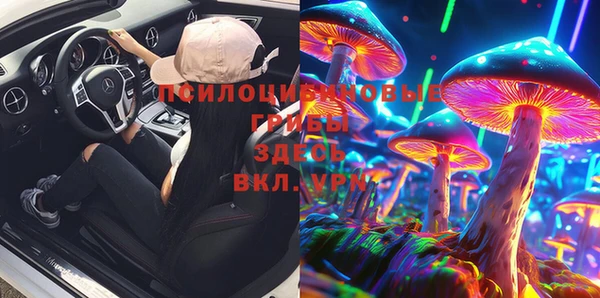 дживик Алексеевка