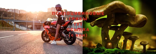 дживик Алексеевка